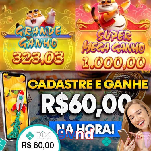 9vnd