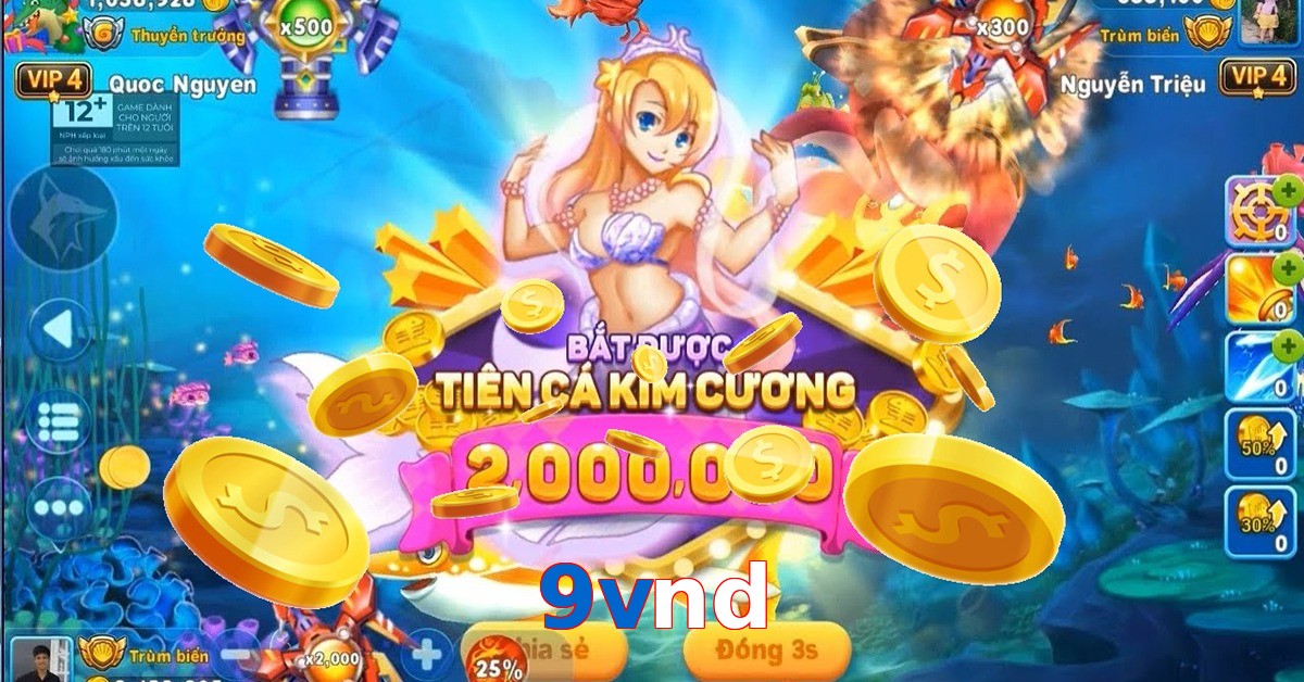 9vnd