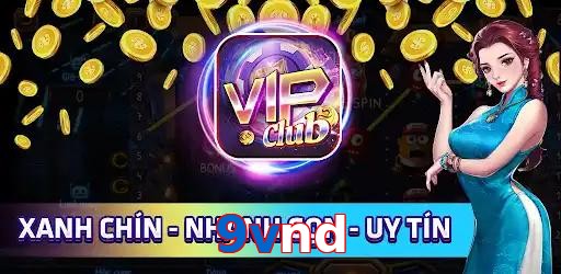 9vnd