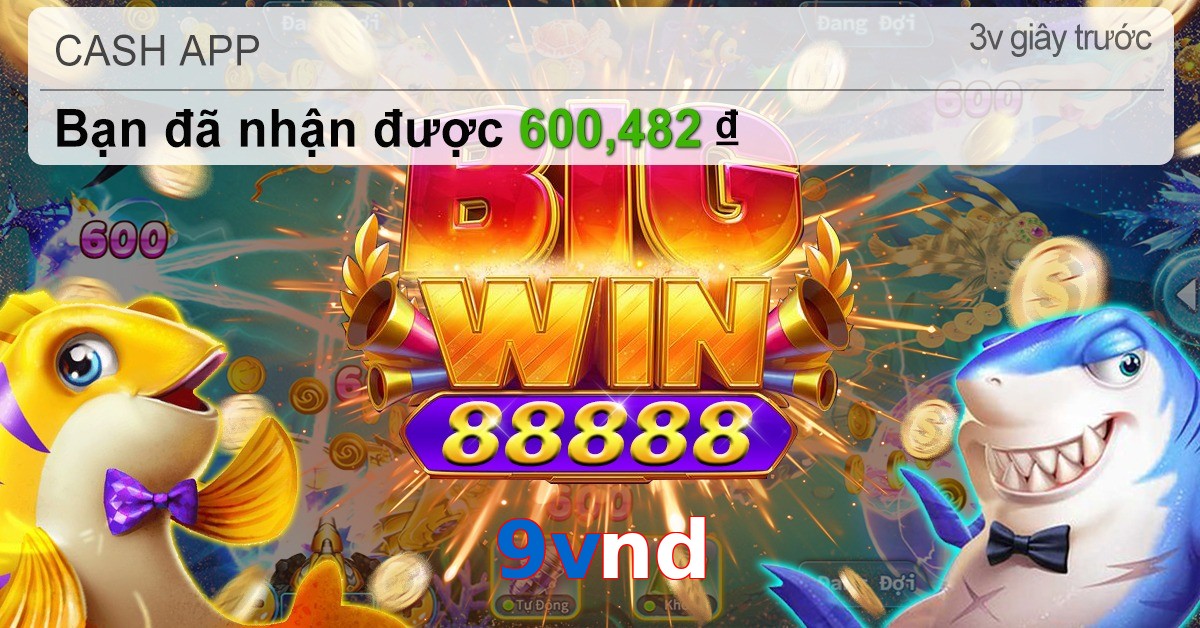 9vnd