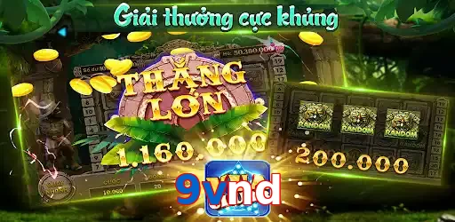 9vnd