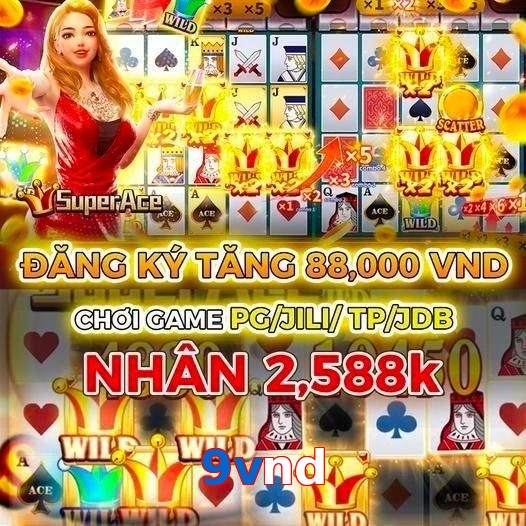 9vnd