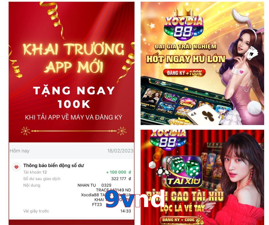 9vnd
